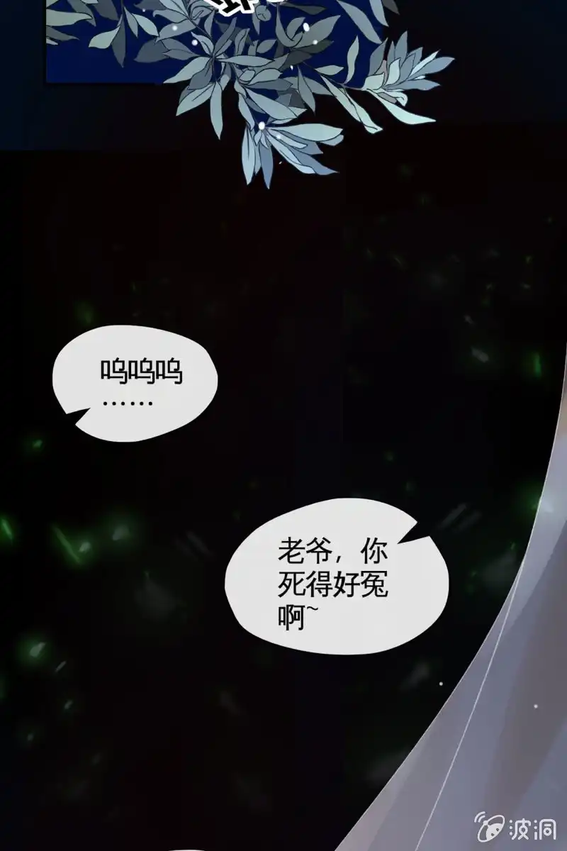 《半妖王妃》平一波又起一波 第29页