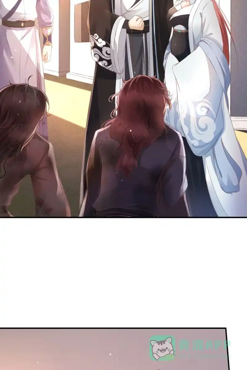 《半妖王妃》平一波又起一波 第11页