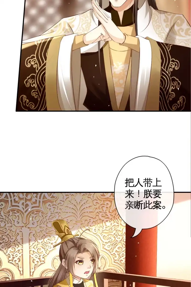 《半妖王妃》对簿朝堂 第5页