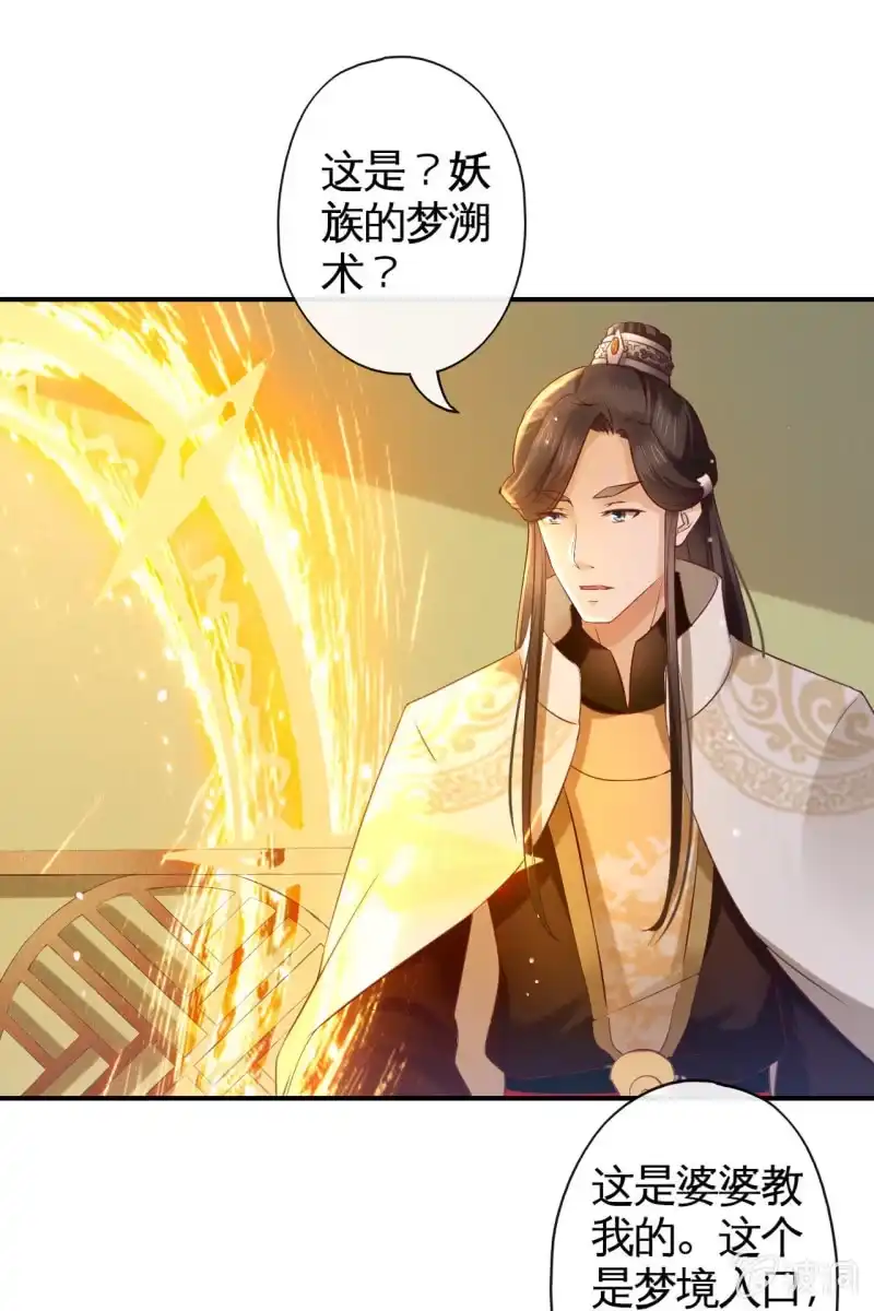 《半妖王妃》铲除内患，奔赴妖族 第29页