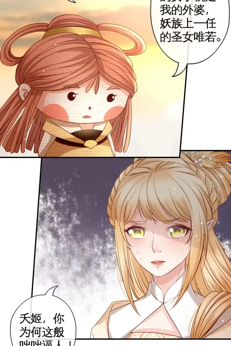 《半妖王妃》锦桃传承的记忆 第10页