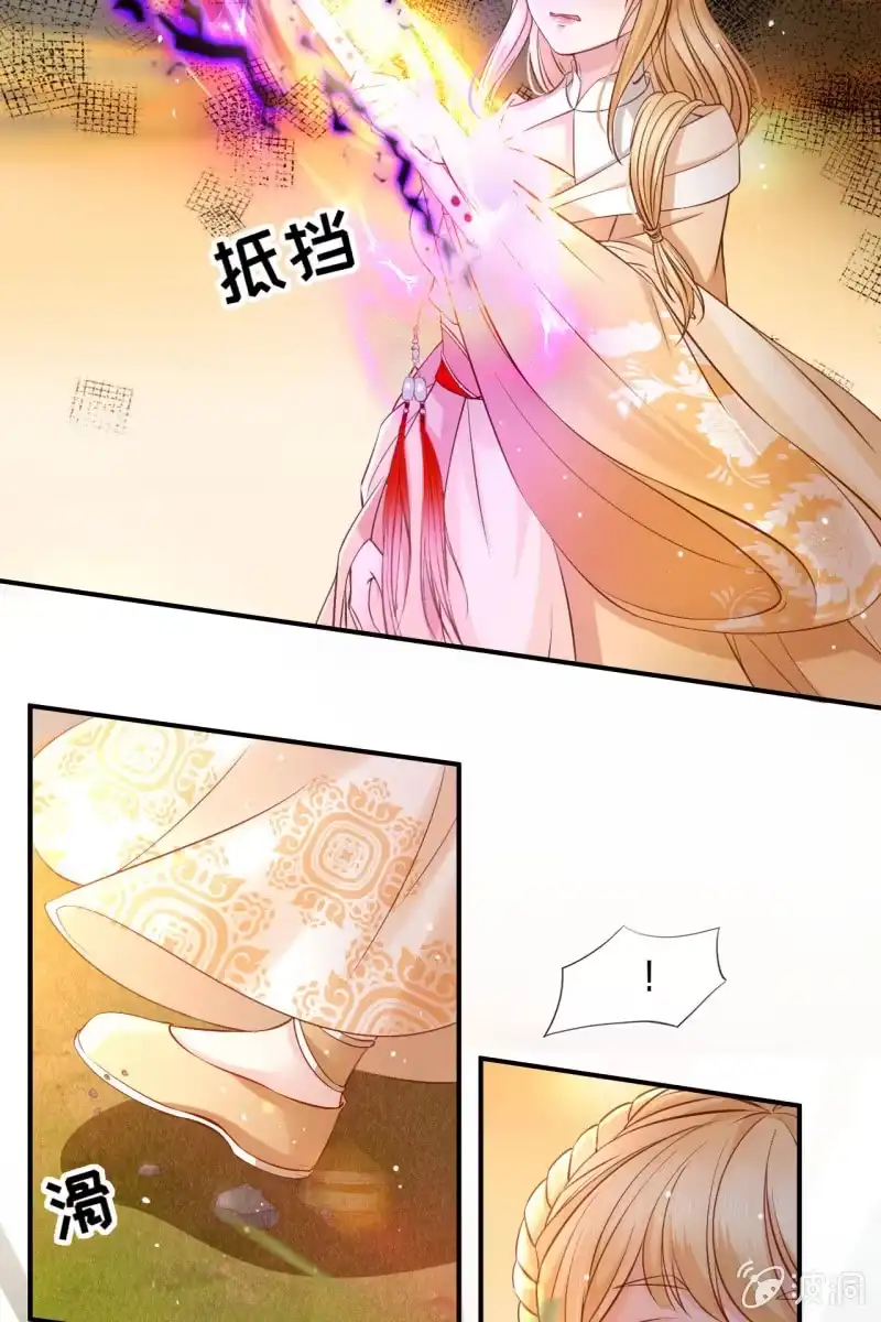 《半妖王妃》锦桃传承的记忆 第13页