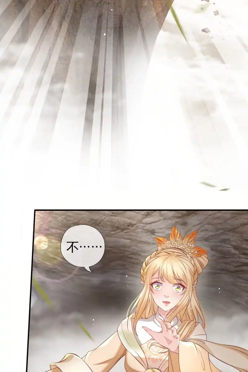 《半妖王妃》锦桃传承的记忆 第15页