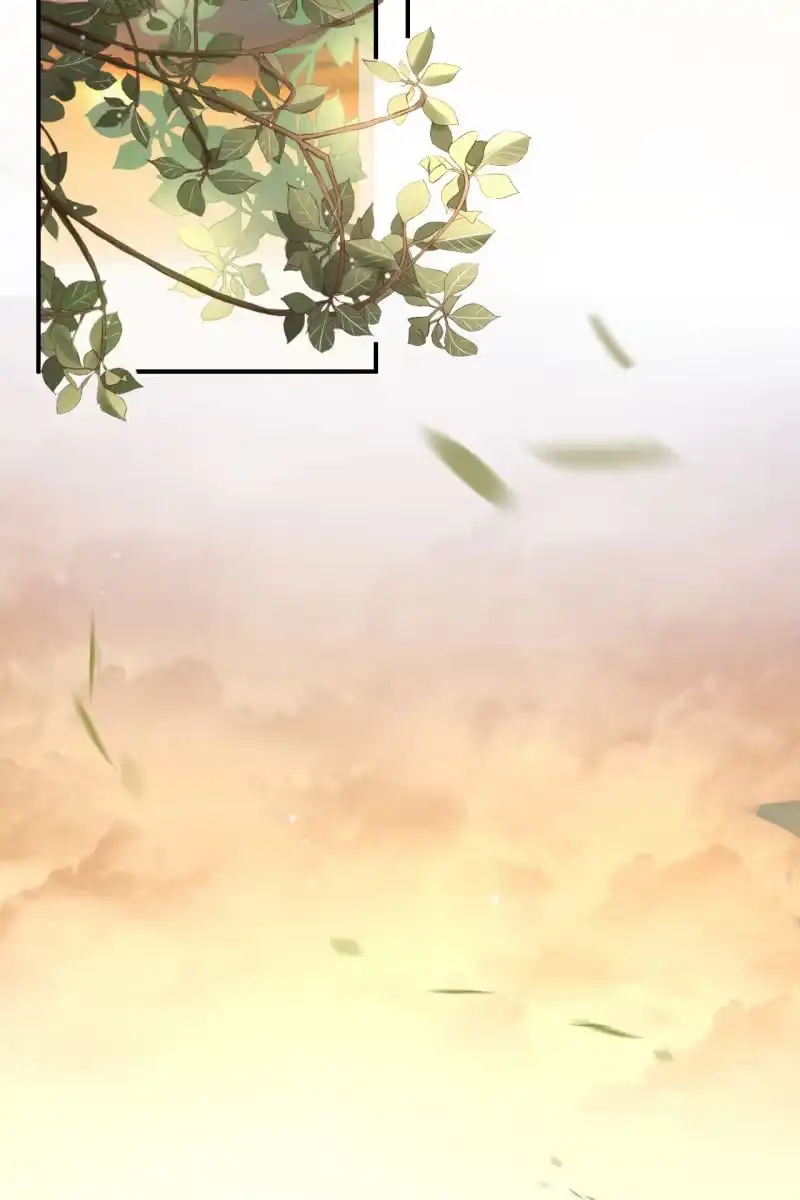 《半妖王妃》锦桃传承的记忆 第4页