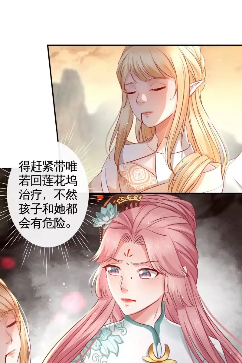 《半妖王妃》锦桃传承的记忆 第22页