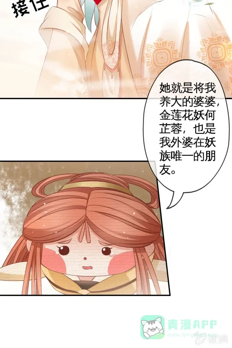 《半妖王妃》锦桃传承的记忆 第21页