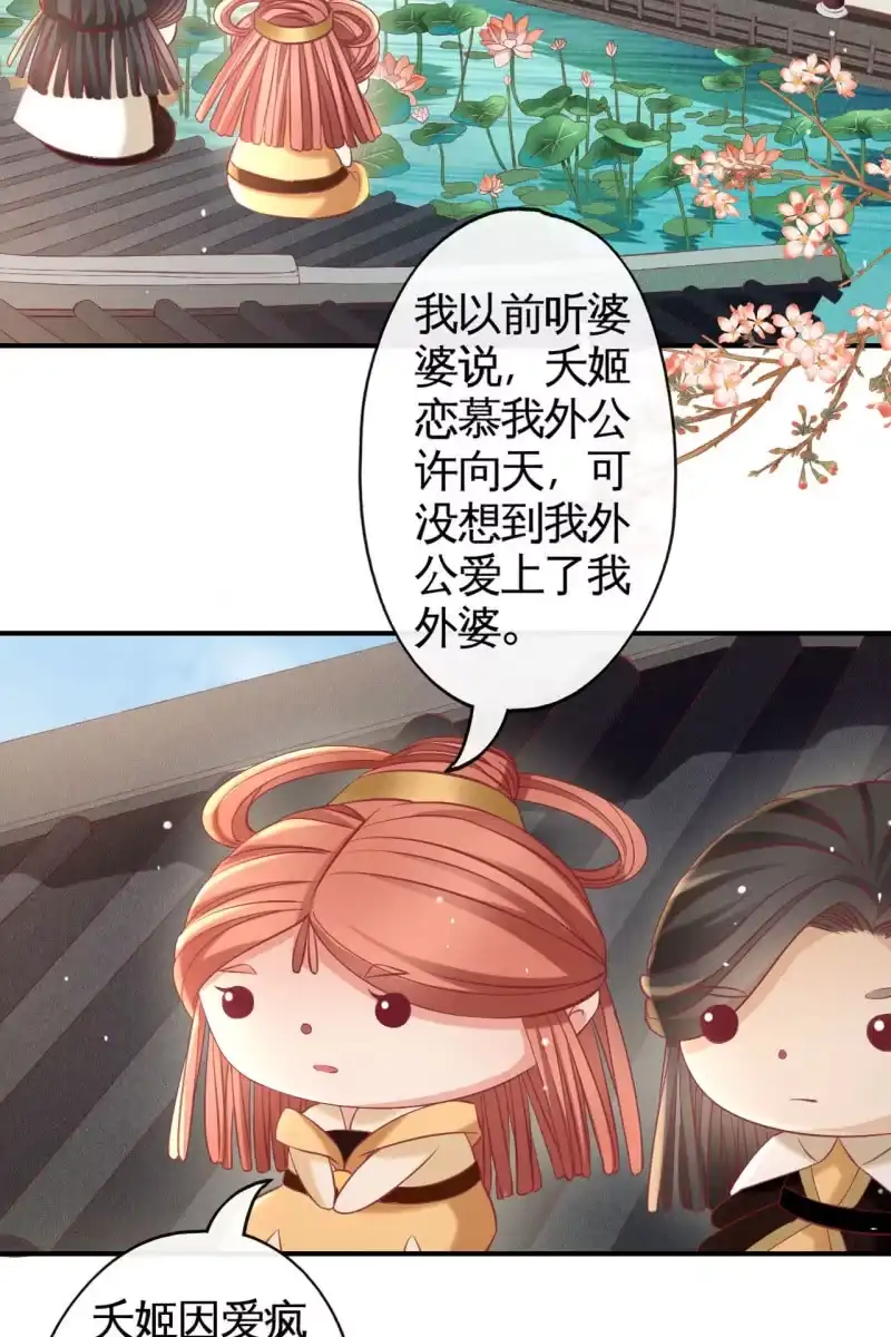 《半妖王妃》锦桃传承的记忆 第27页