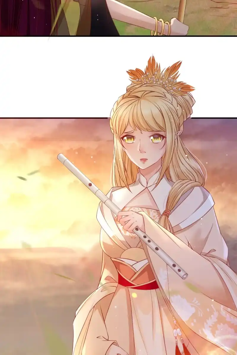 《半妖王妃》锦桃传承的记忆 第8页