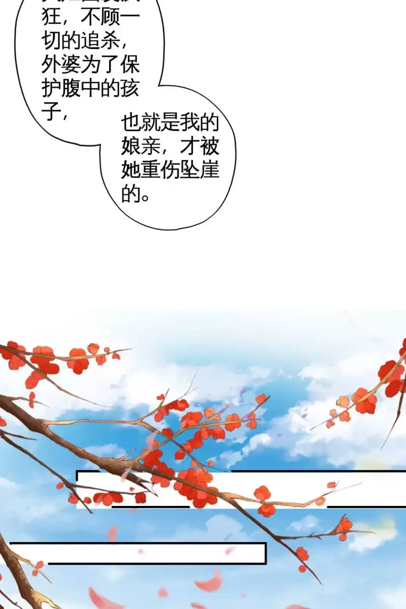 《半妖王妃》锦桃传承的记忆 第28页