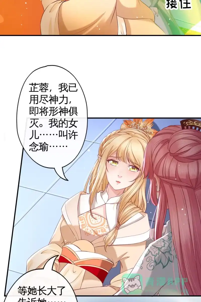 《半妖王妃》锦桃传承的记忆 第31页
