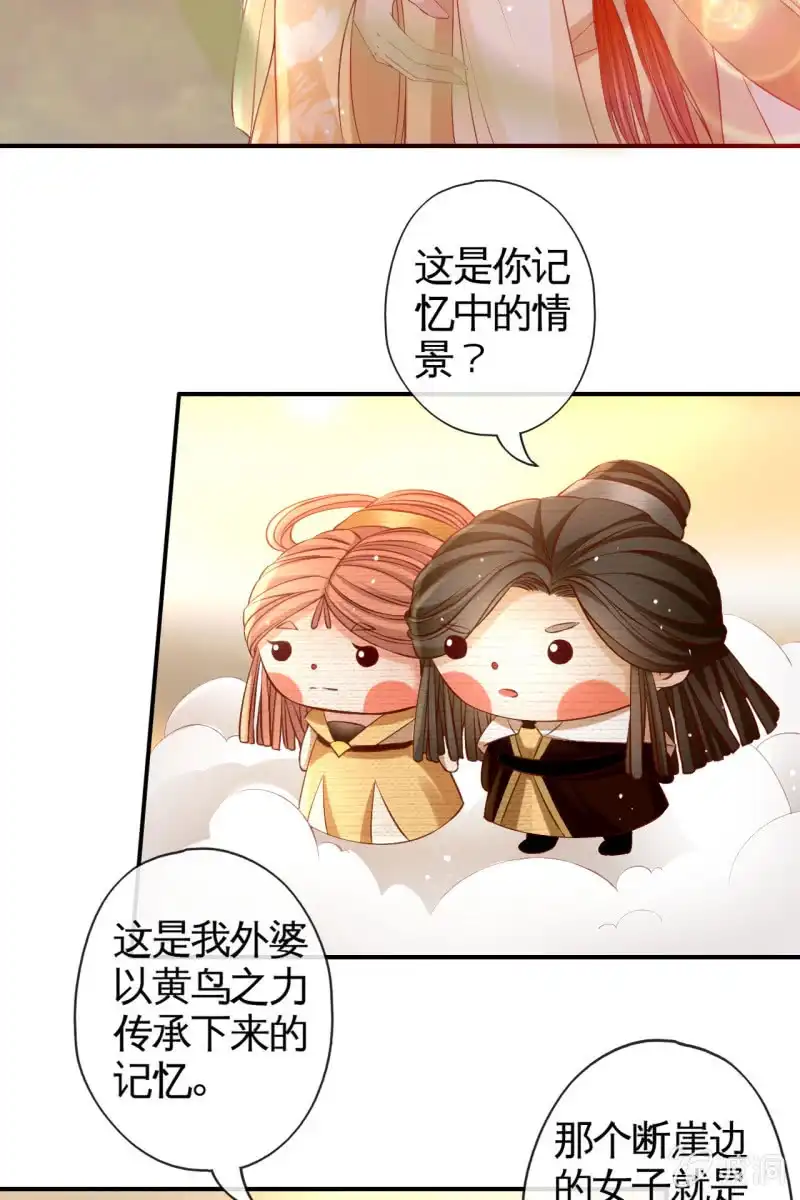 《半妖王妃》锦桃传承的记忆 第9页