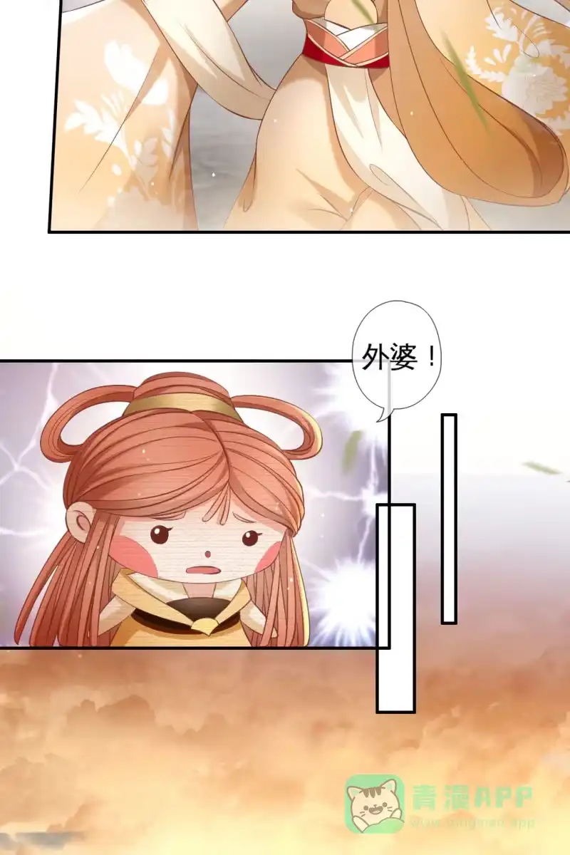《半妖王妃》锦桃传承的记忆 第16页