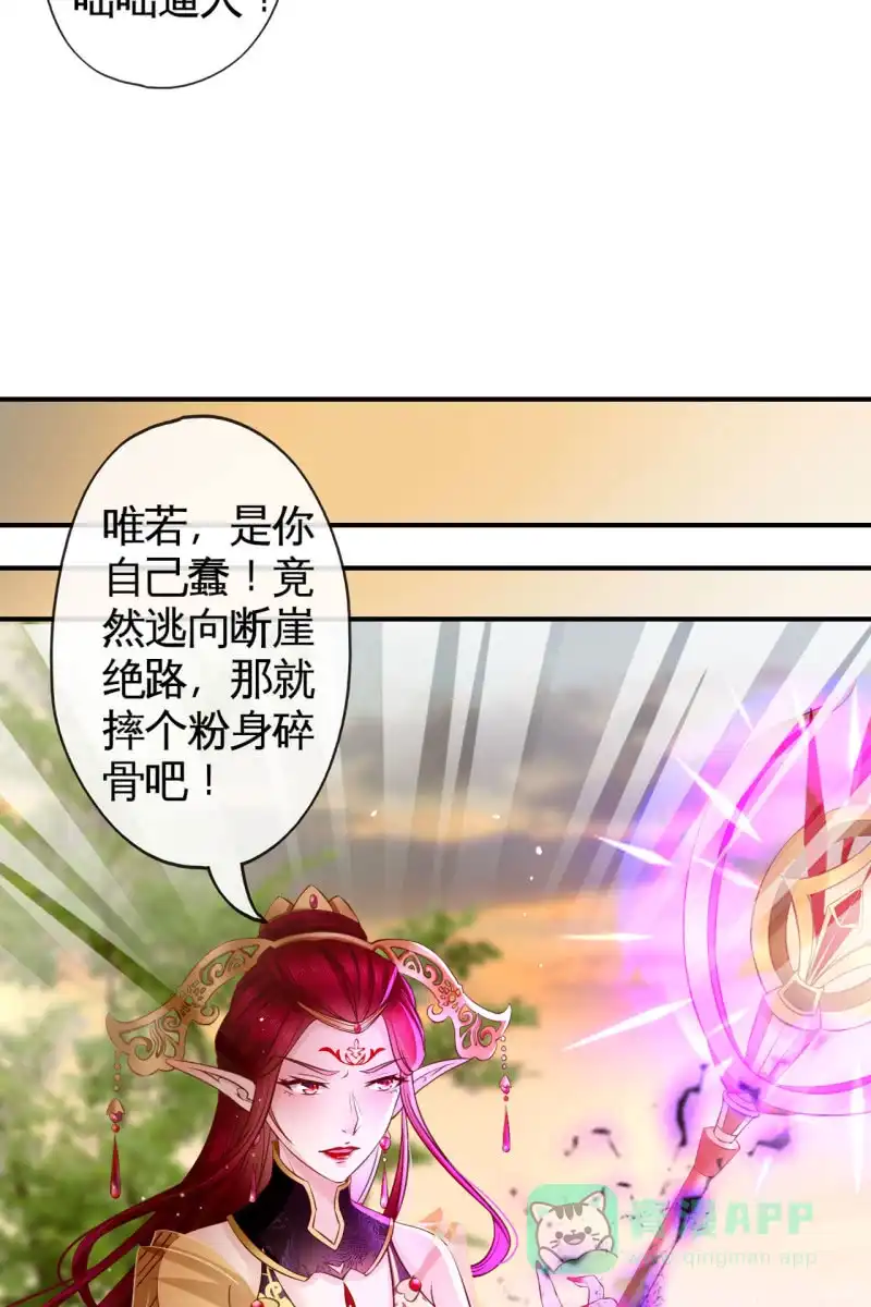 《半妖王妃》锦桃传承的记忆 第11页