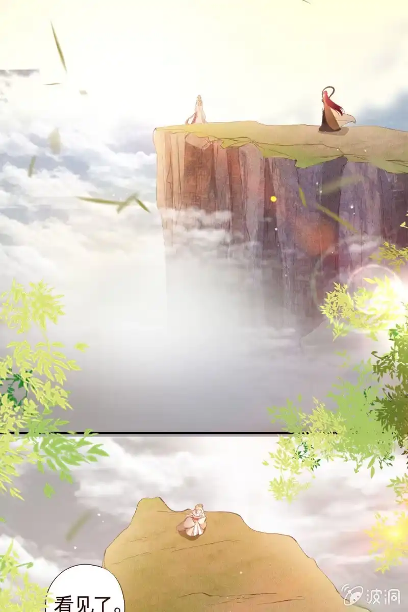 《半妖王妃》锦桃传承的记忆 第5页