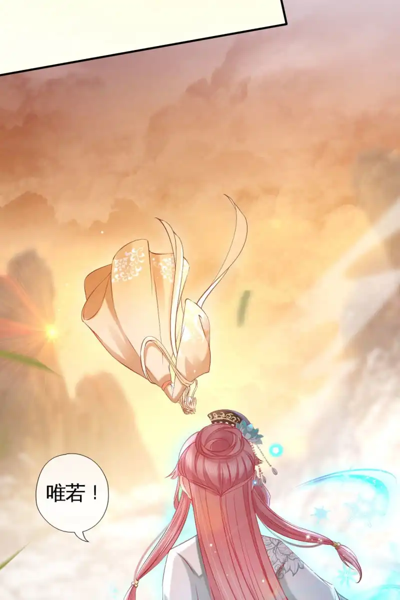 《半妖王妃》锦桃传承的记忆 第19页