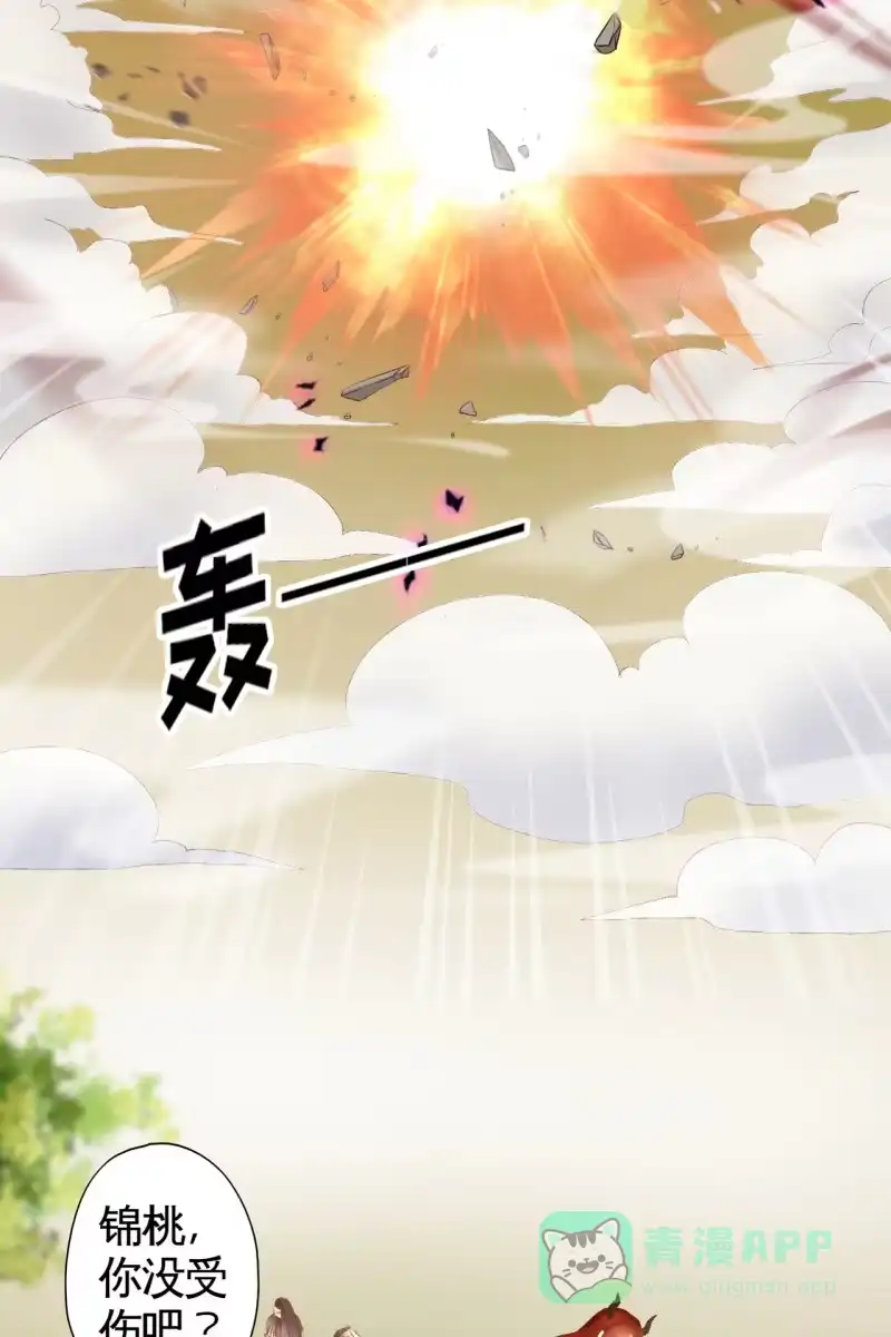 《半妖王妃》有我在，你们别想伤害她 第31页