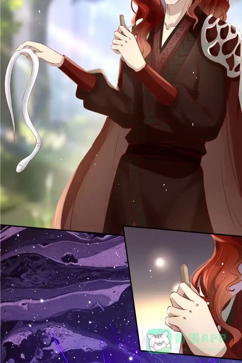 《半妖王妃》阿轩的危机？ 第36页