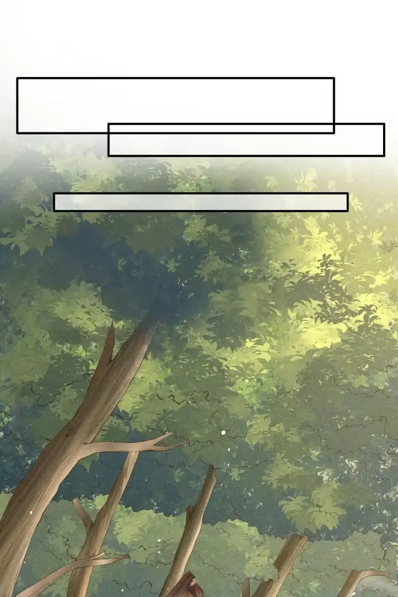 《半妖王妃》阿轩的危机？ 第30页