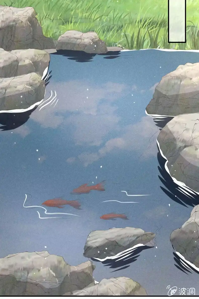 《半妖王妃》阿轩的危机？ 第29页