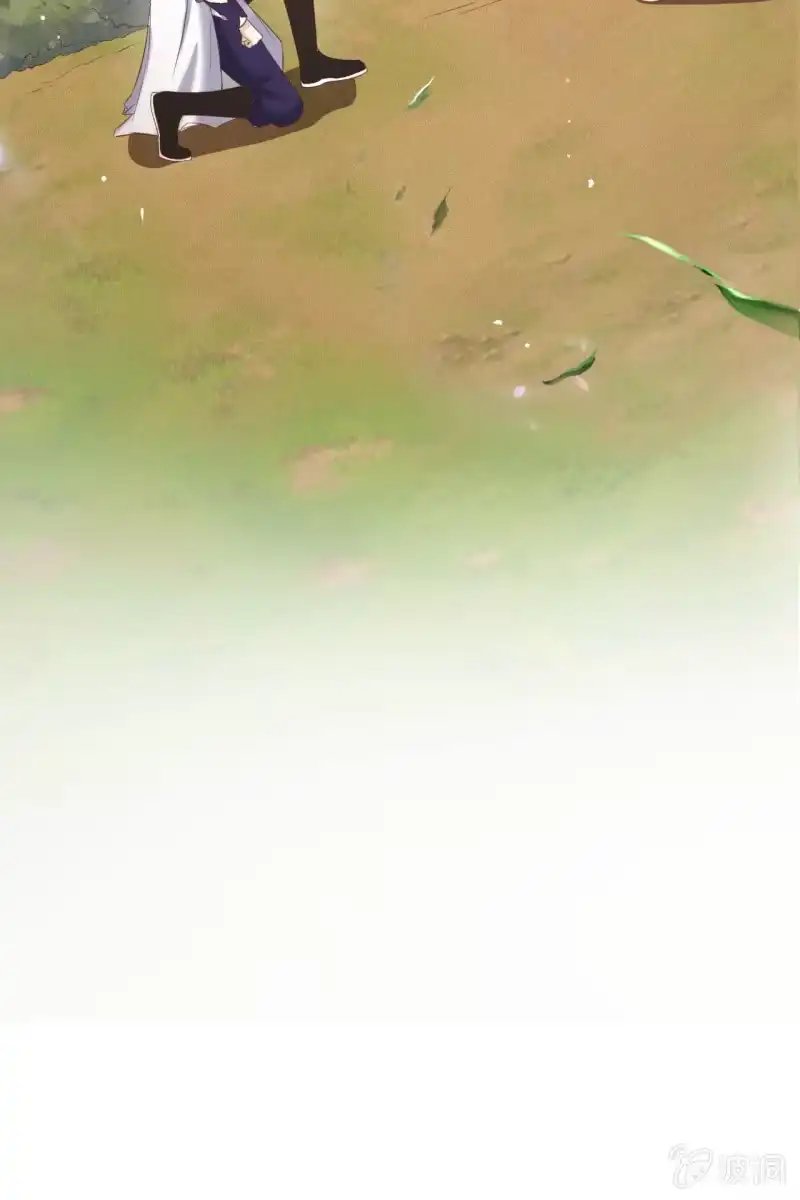 《半妖王妃》阿轩危机，身份曝光 第33页