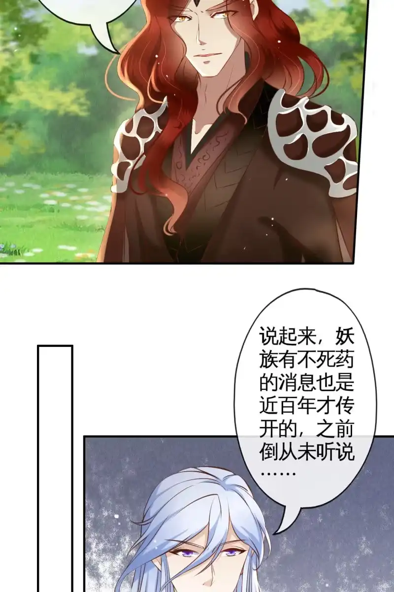 《半妖王妃》主动出击 第30页