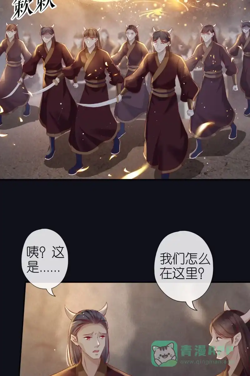 《半妖王妃》夫妻搭配，除敌不累 第31页