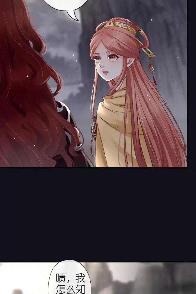 《半妖王妃》夫妻搭配，除敌不累 第7页