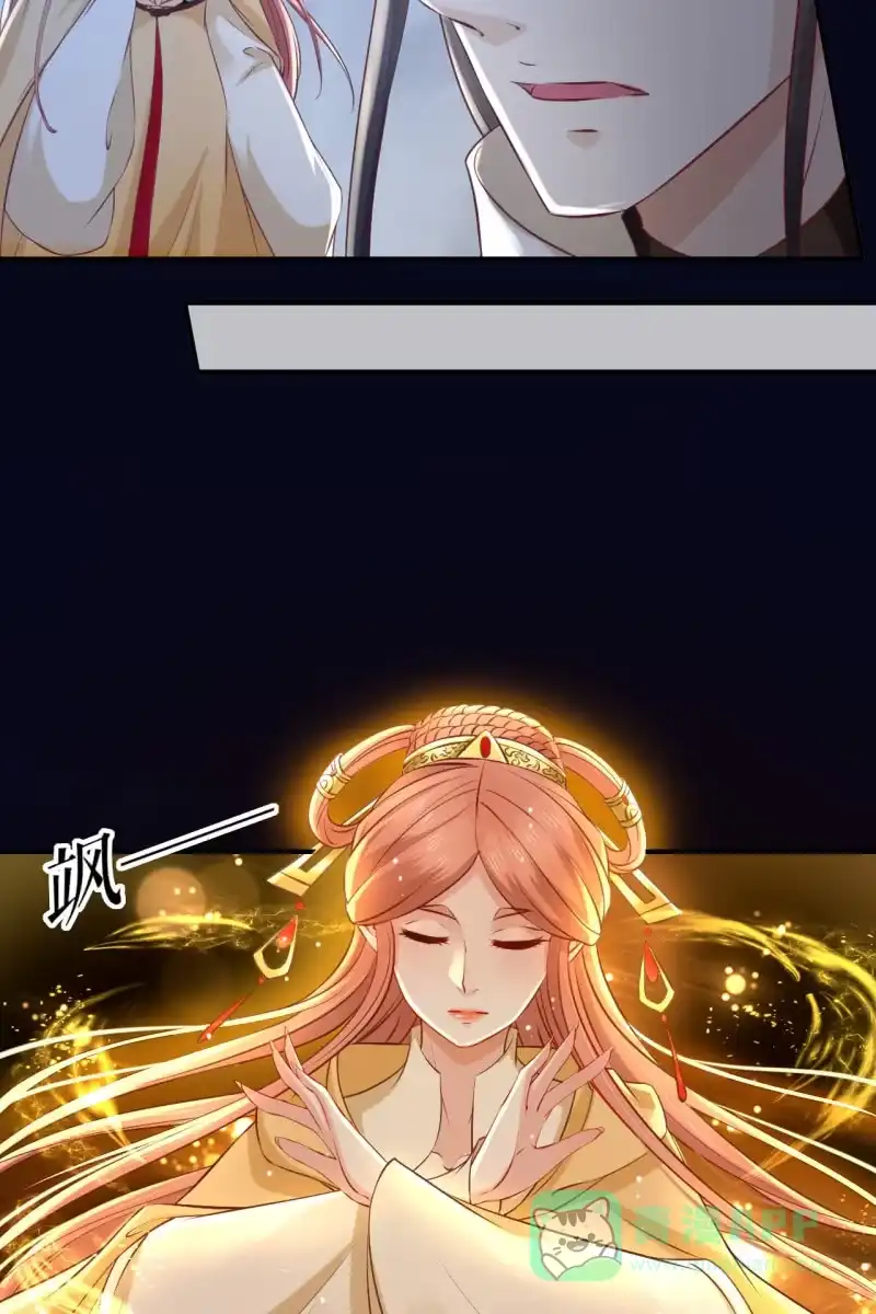 《半妖王妃》夫妻搭配，除敌不累 第26页