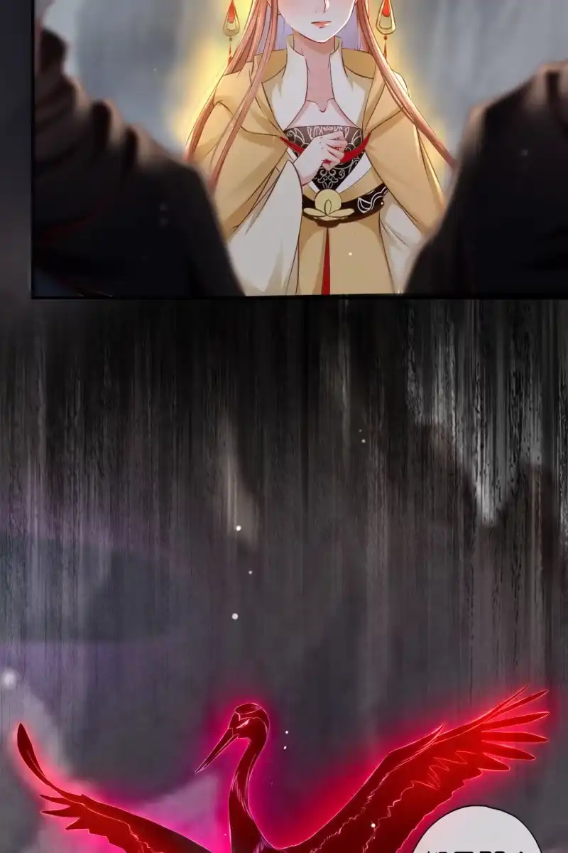 《半妖王妃》逼近玄洞 第23页