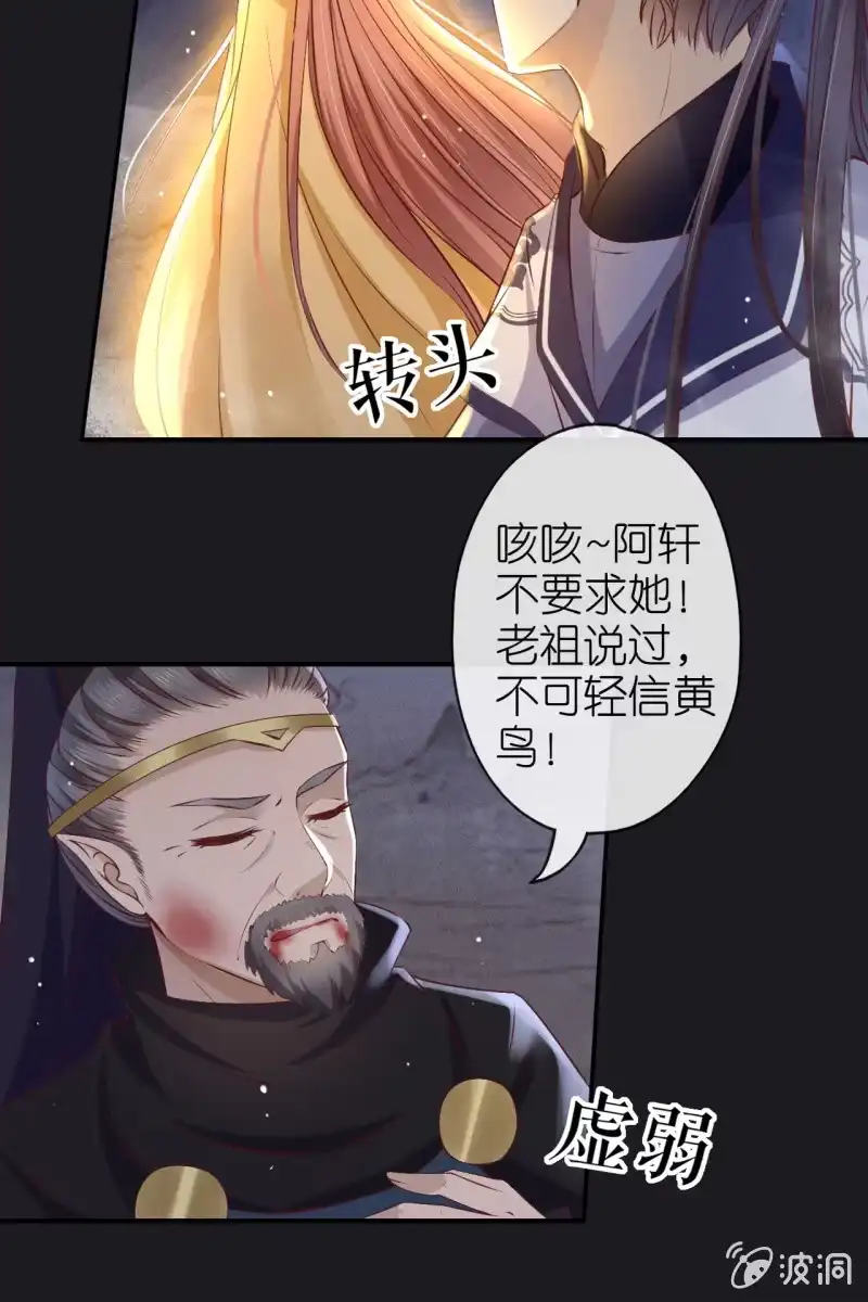 《半妖王妃》在线吊打赫连鹤丽 第13页