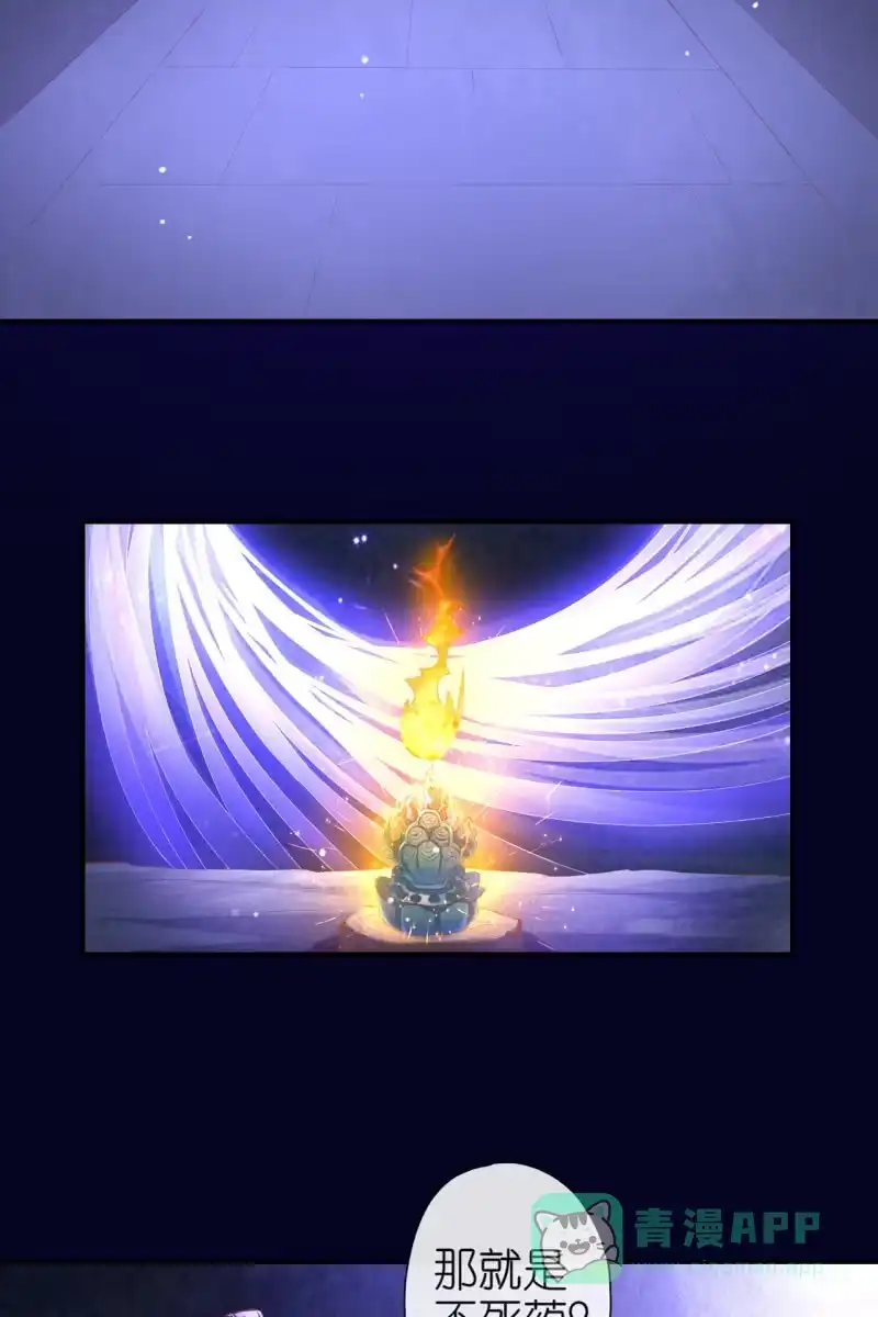 《半妖王妃》妖皇失控 第11页
