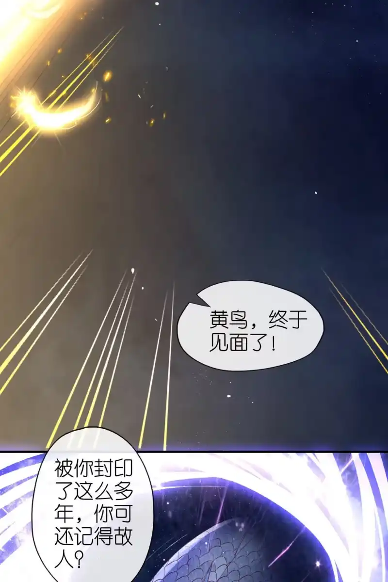 《半妖王妃》妖天帝 第19页