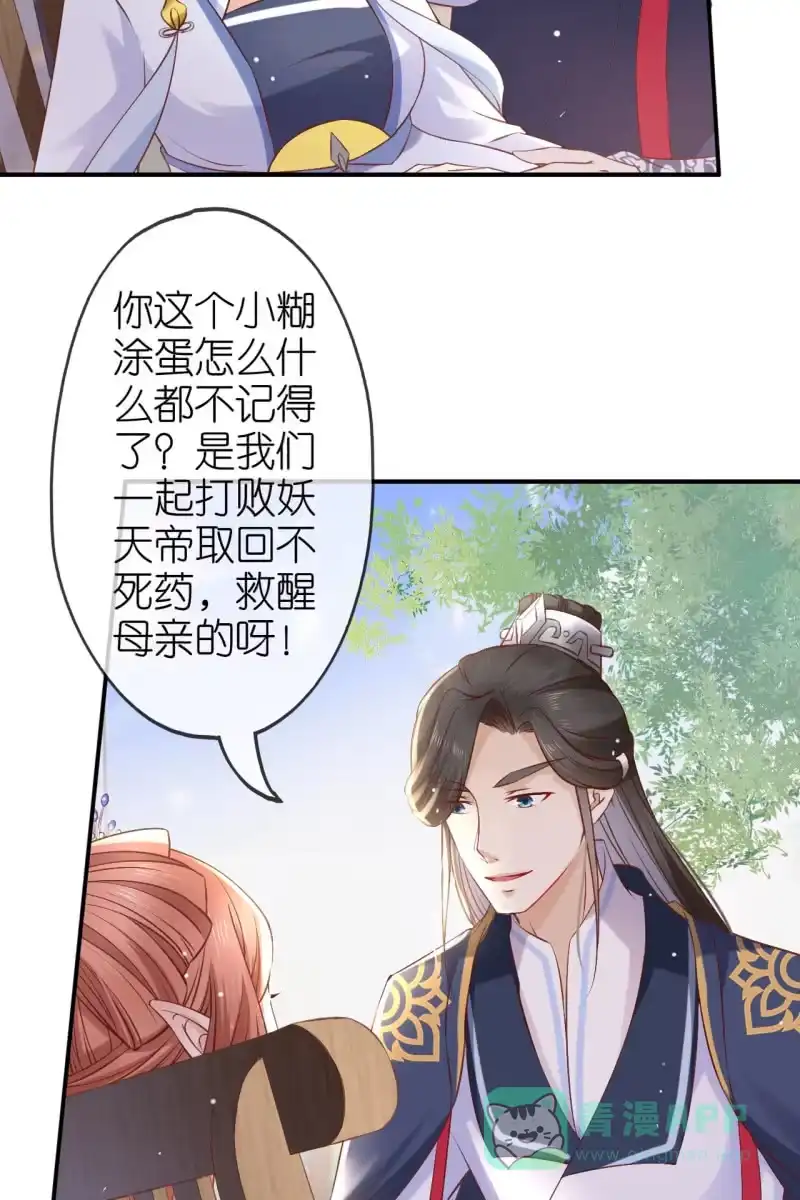 《半妖王妃》进入幻境 第26页