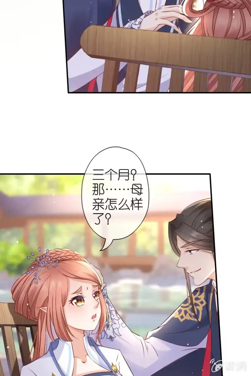 《半妖王妃》进入幻境 第25页