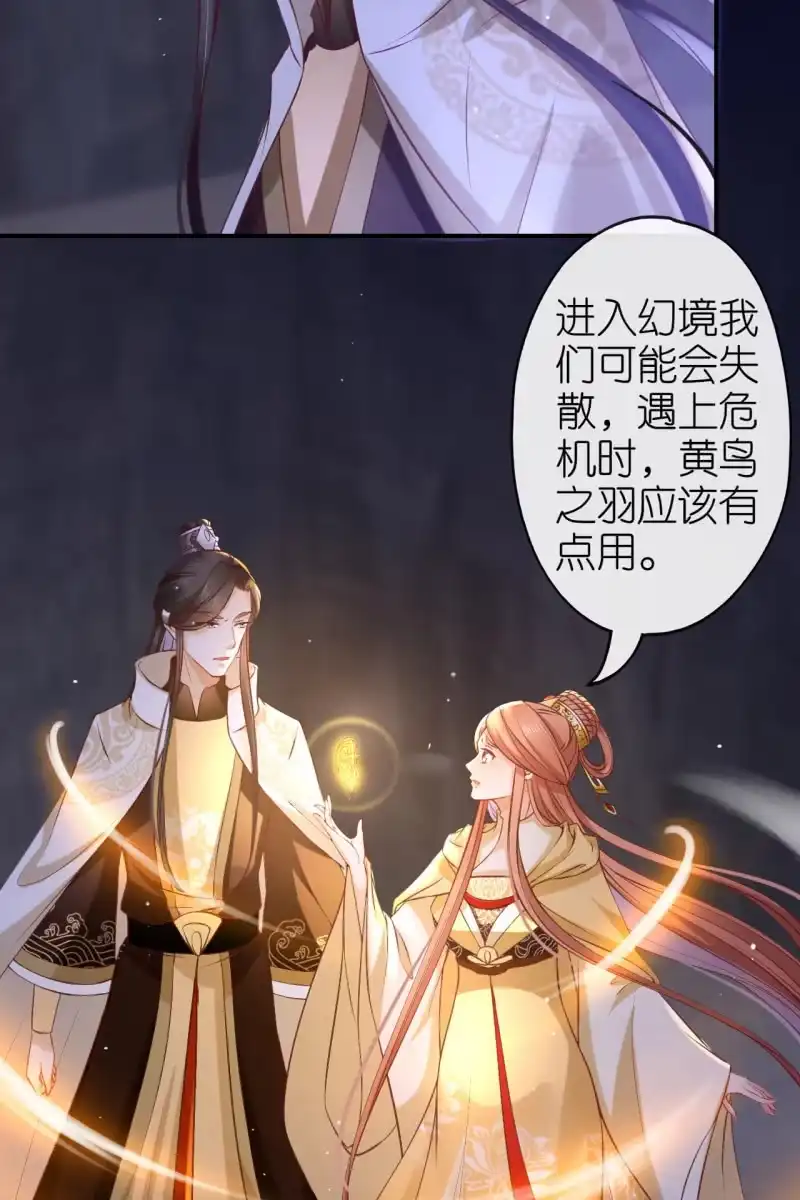 《半妖王妃》进入幻境 第14页