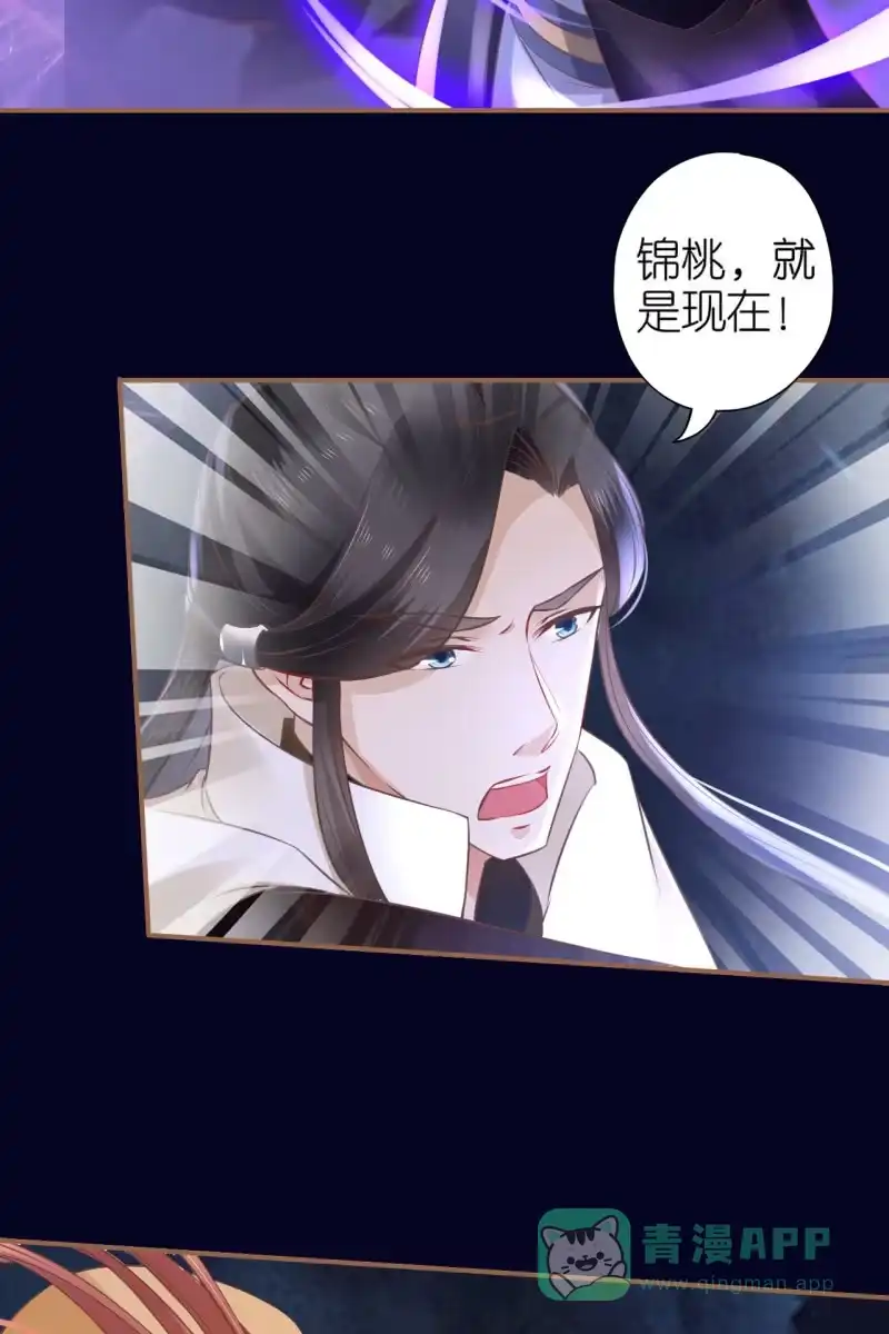 《半妖王妃》锦桃欲封妖天帝 第31页