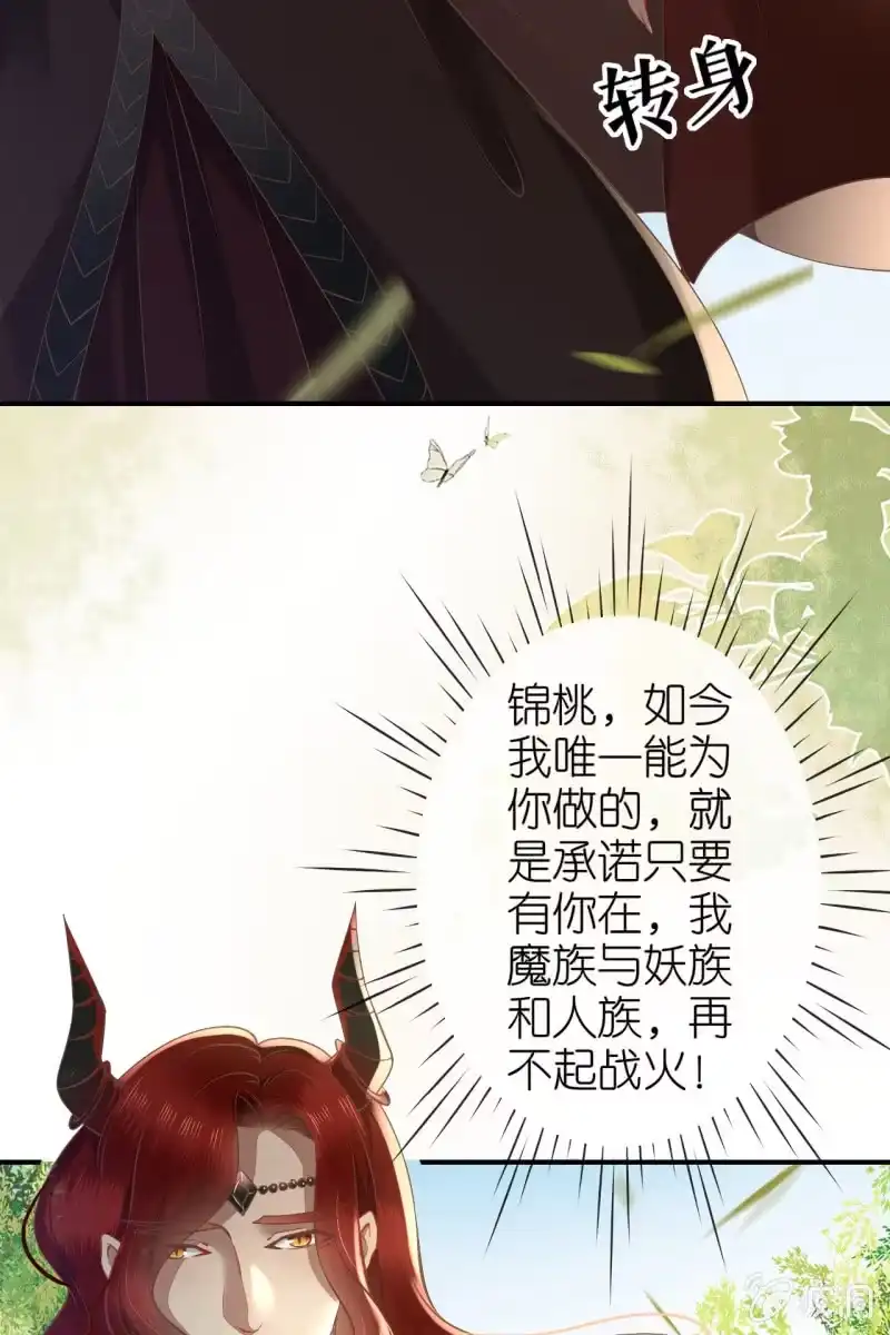 《半妖王妃》完结章 有缘再见 第29页
