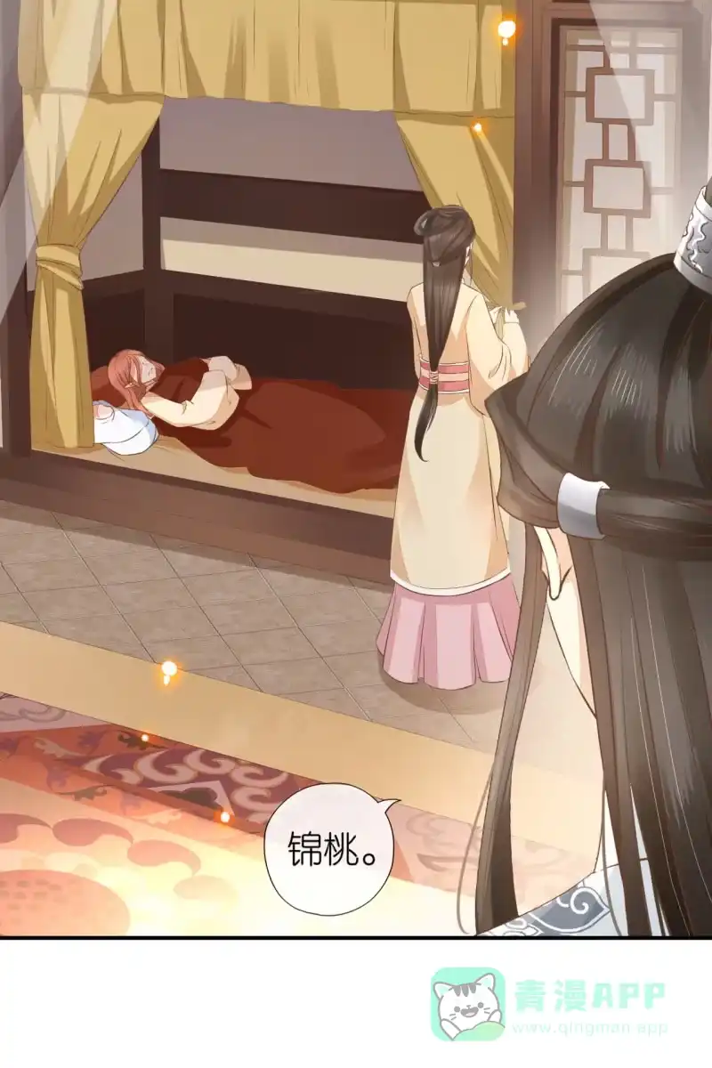 《半妖王妃》完结章 有缘再见 第36页