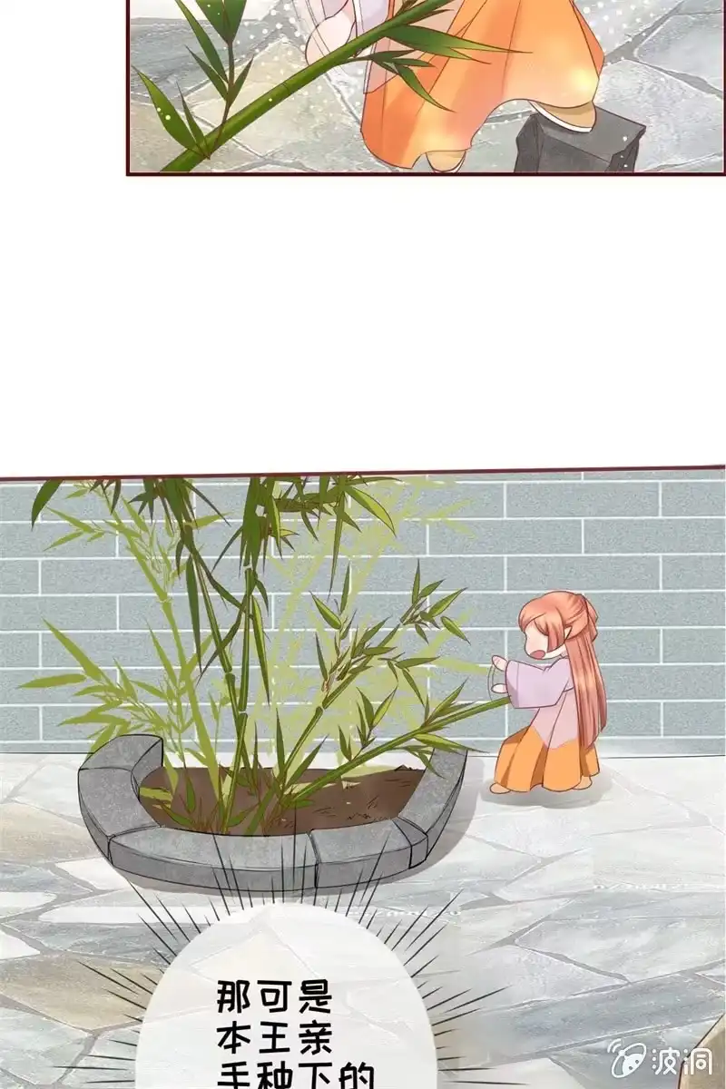 《半妖王妃》才艺大比拼 第32页