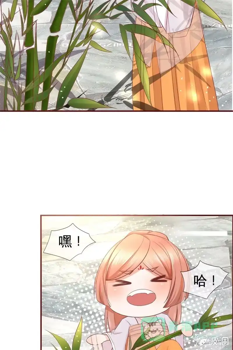 《半妖王妃》才艺大比拼 第31页