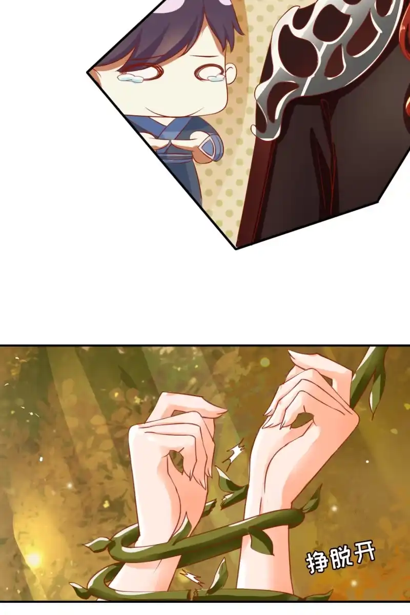《半妖王妃》少女身上的秘密 第15页