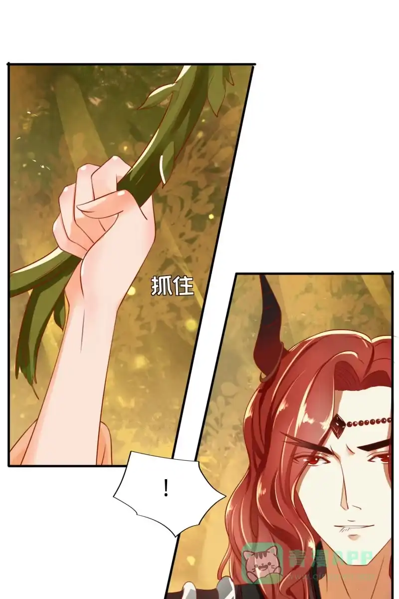 《半妖王妃》少女身上的秘密 第16页
