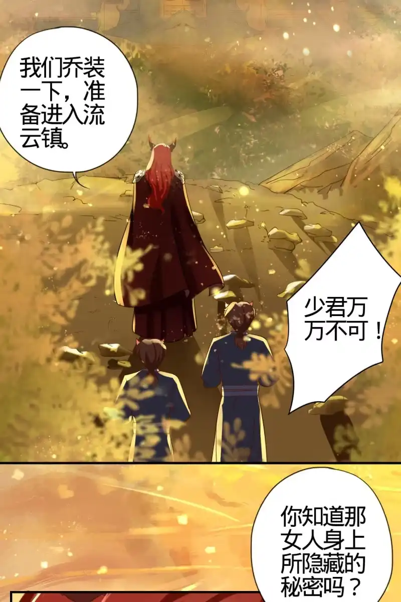 《半妖王妃》少女身上的秘密 第28页
