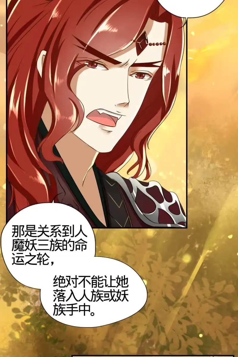 《半妖王妃》少女身上的秘密 第29页