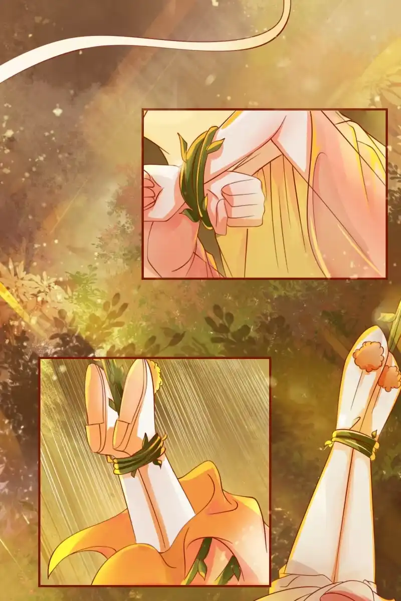 《半妖王妃》少女身上的秘密 第4页