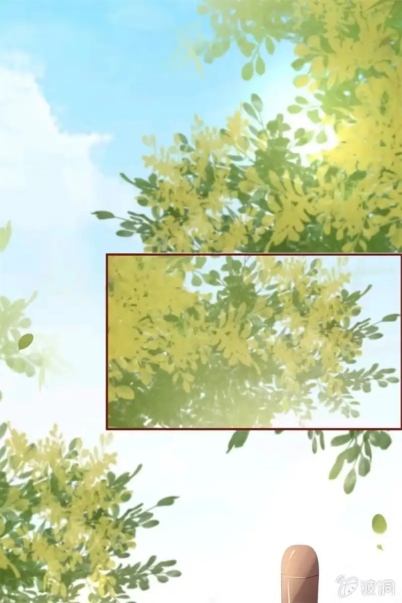 《半妖王妃》会打架更受欢迎？ 第29页