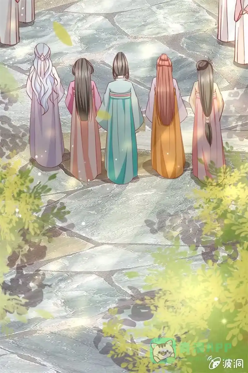《半妖王妃》会打架更受欢迎？ 第31页