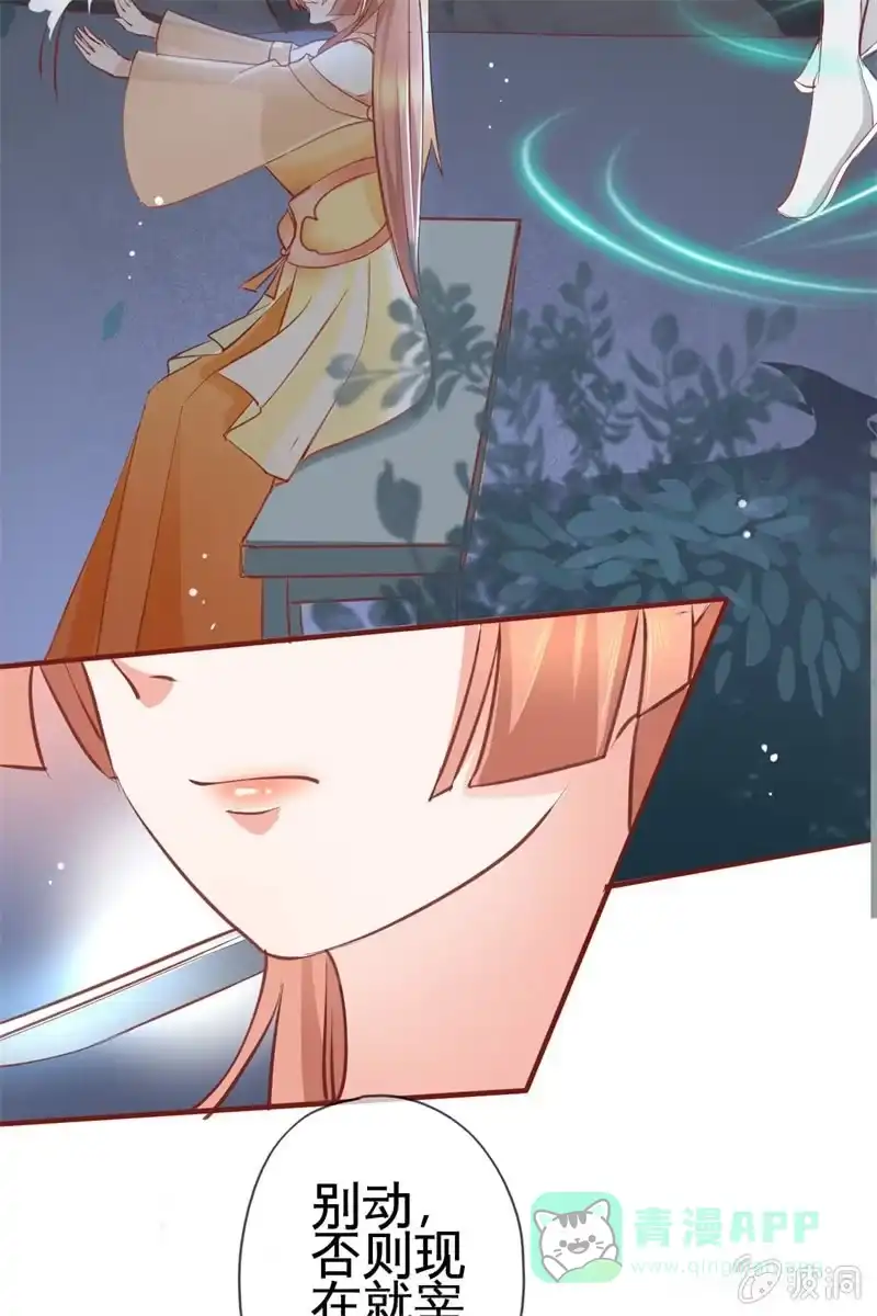 《半妖王妃》比武开始 第41页