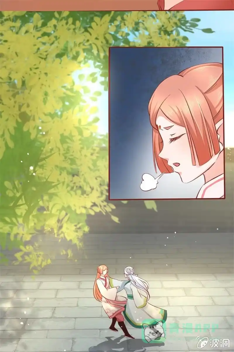 《半妖王妃》比武开始 第26页