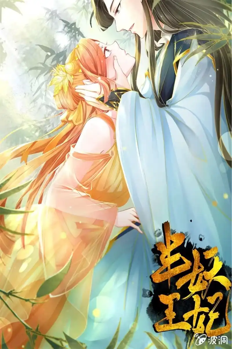 《半妖王妃》比武开始 第45页
